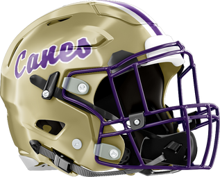 2025 local high school football previews: Cartersville Purple Hurricanes