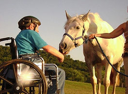 Wheelchair and horse.jpg