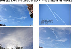 070817 multiple trails 10