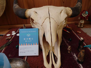 【最新情報:2024年6月6日 】