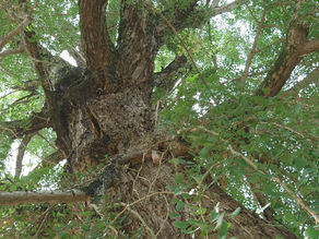 【最新情報:2023年7月3日】