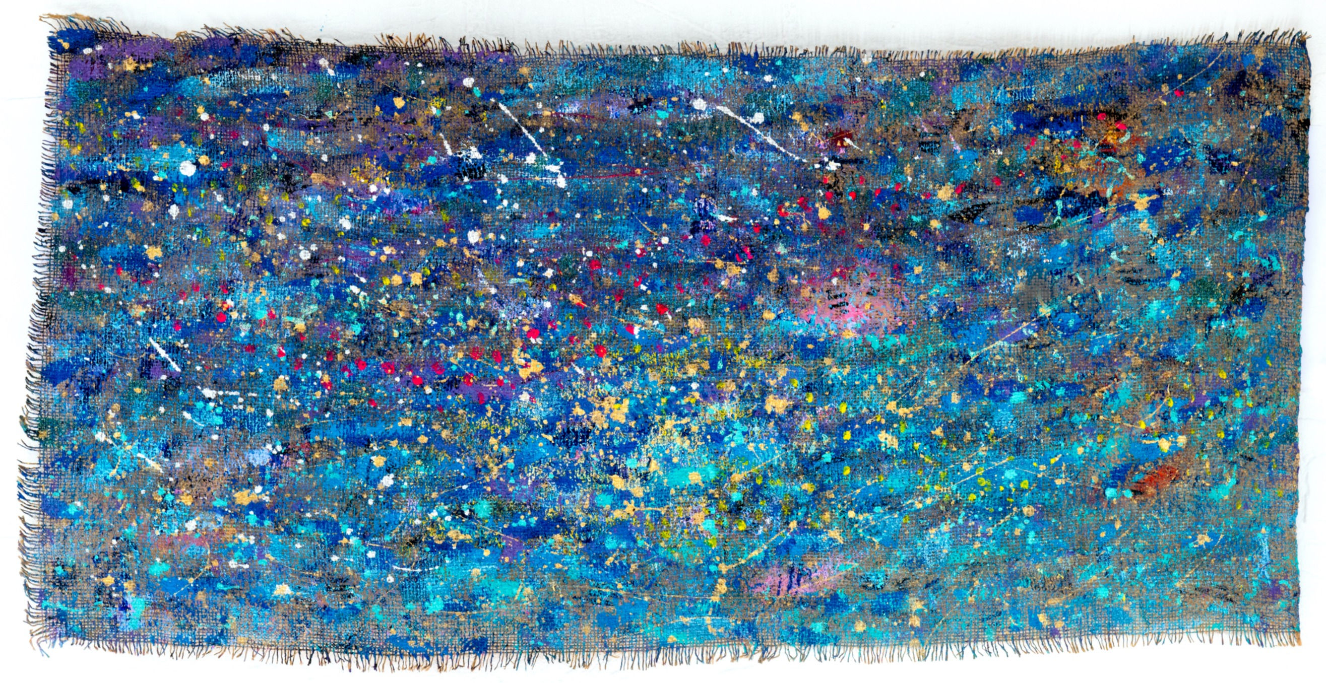 LA VITA NELL'UNIVERSO