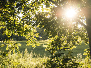 Elektrofilter-Nachrüstung: Warum der Sommer der beste Zeitpunkt für die Vorbereitung auf den Winter ist