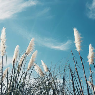 Why clean air is our responsibility and how modern filter technology contributes to it.