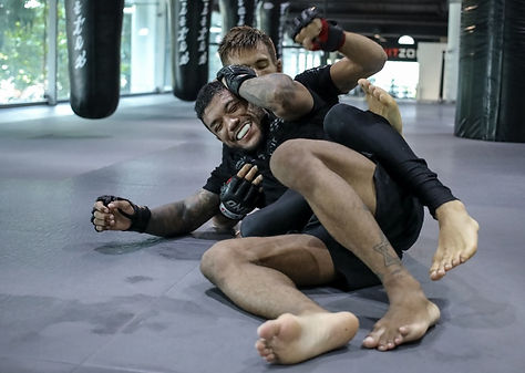 mma-training-fun.jpeg