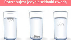 A tu metody diagnostyczne Candidi Auris i innych Kandydoz...