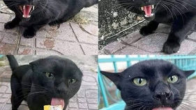 🧛A z okazji Halloween...💕