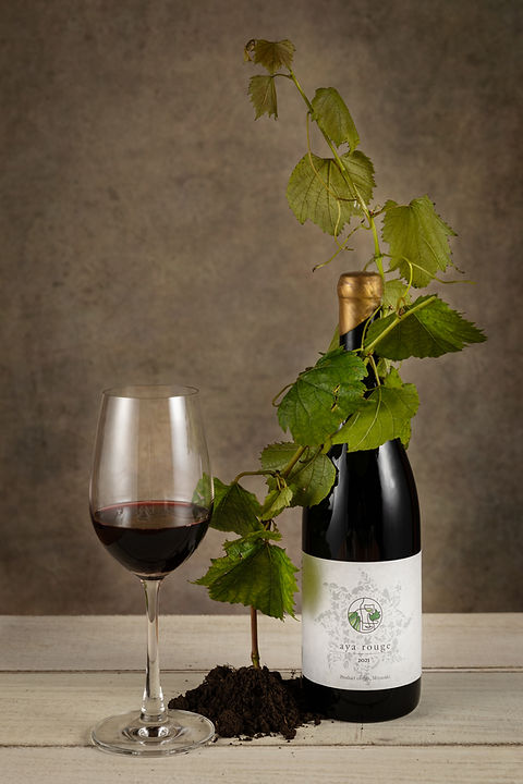 2021 Aya Rouge | katsukiwines