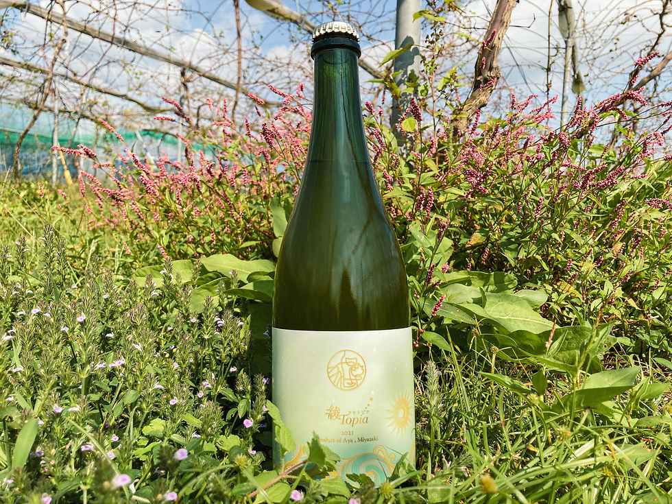 2021 AyaTopia 綾トピア