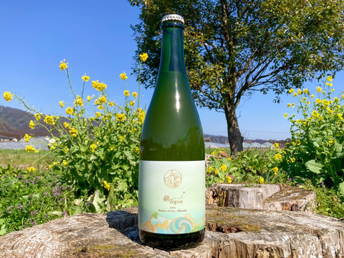 2022 AyaTopia 綾トピア | katsukiwines 2022 AyaTopia 綾トピア | katsukiwines