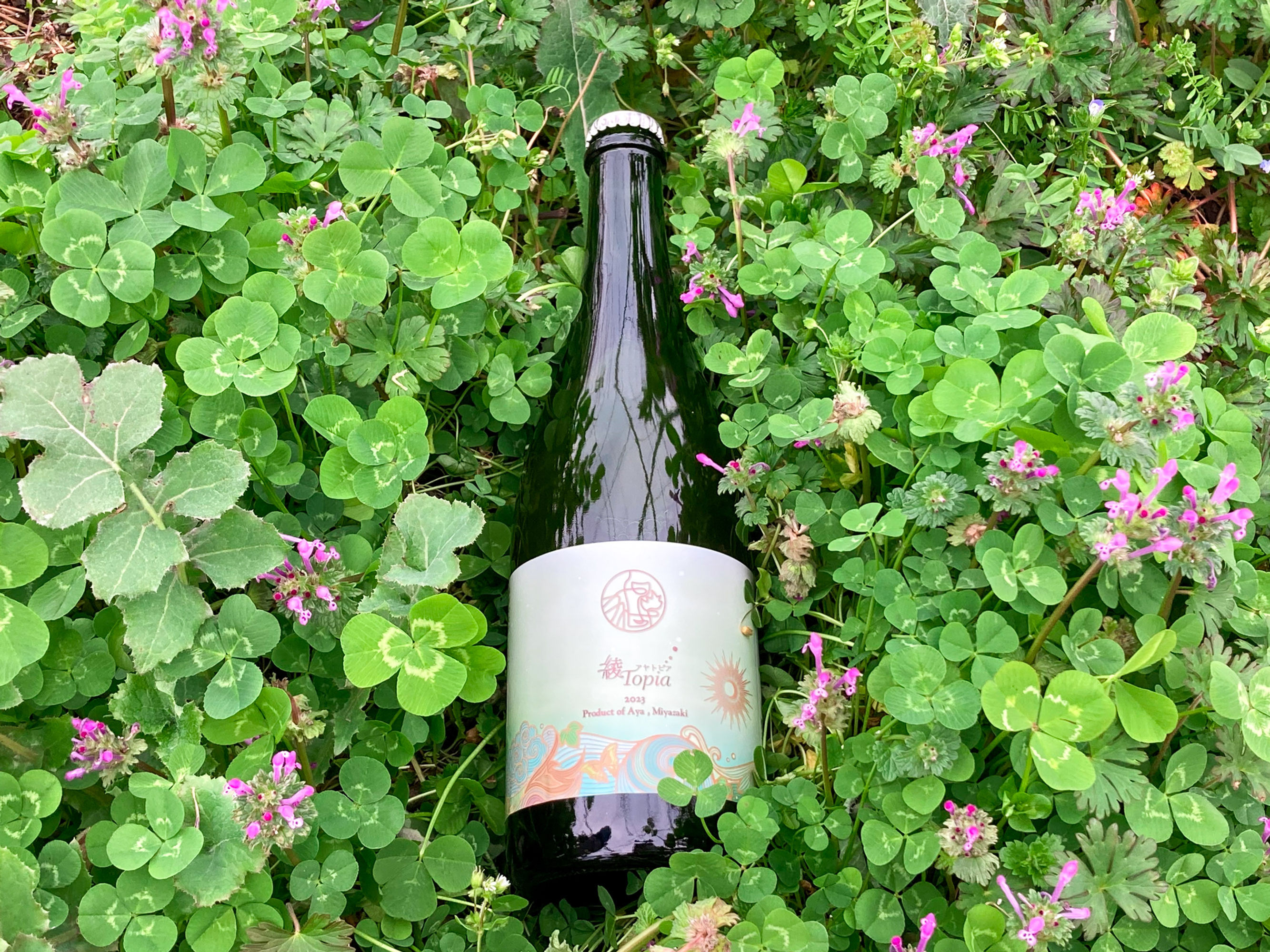 2023 AyaTopia 綾トピア