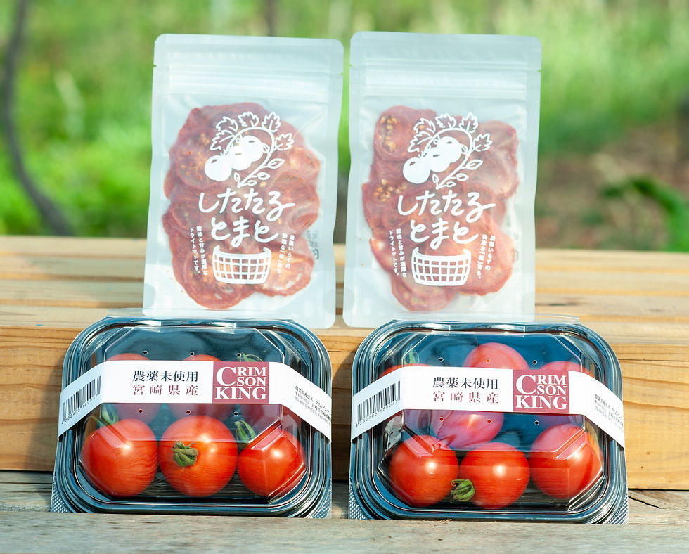サムネイル： 【送料無料】お年玉企画！宮崎のお野菜とお届けセット