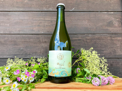 2024 AyaTopia 綾トピア | katsukiwines