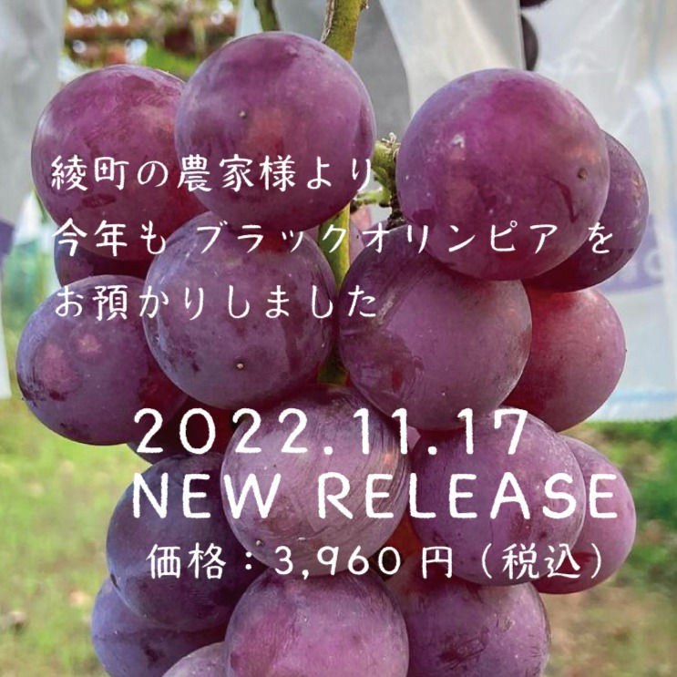 サムネイル： 2022 PETITE PLANETE