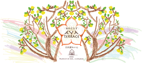 2022 あやてらす 日向夏わいん | katsukiwines