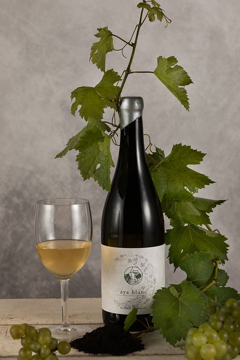 2021 Aya Blanc | katsukiwines