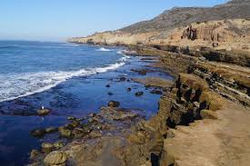 Winter Tidepooling