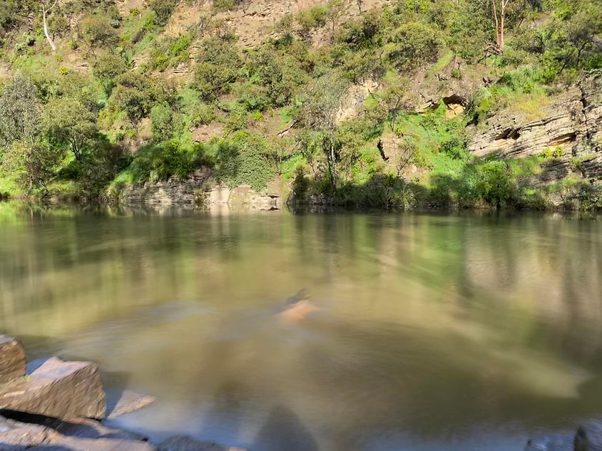 yarra wallpaper image.jpg