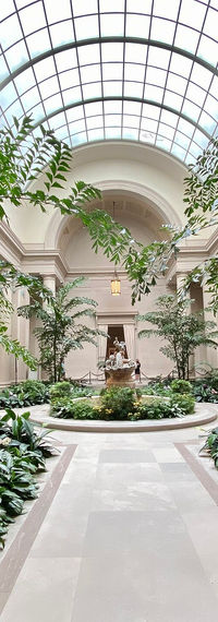 Interior of the West Building at the National Gallery of Art, showcasing classical architecture and paintings.