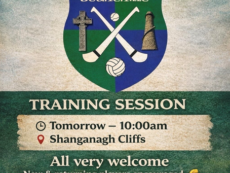 JOIN OUR HURLING TEAM