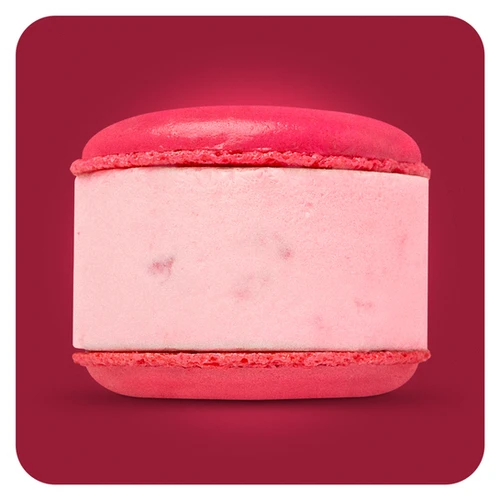 MACARON 3-PACK | Mavens Creamery