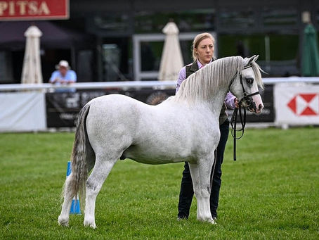 Brecon County Show