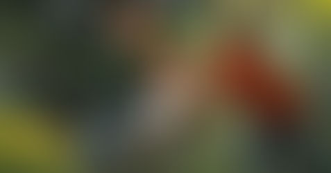 EMPATIA: a importância de apoiar as pessoas com deficiência