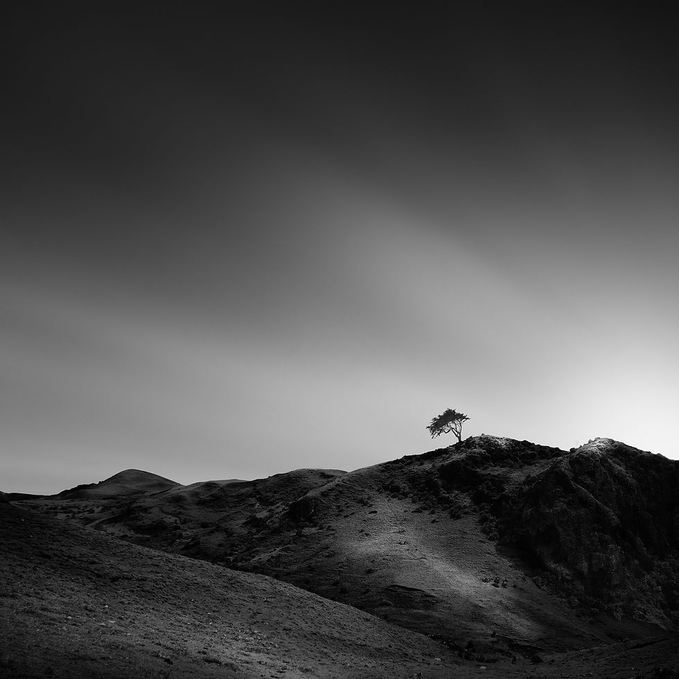 solus