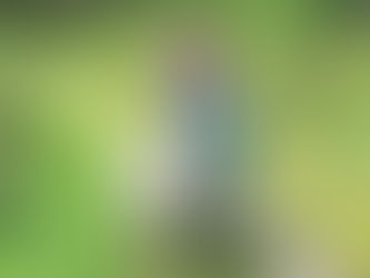 Day 3 and 4 - Paediatric Critical Care