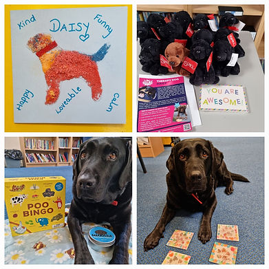 WhatsApp Image 2026-05-02 at 22.15.29.jpeg