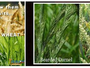 Saturday 22nd July – Saturday 29th July 2023