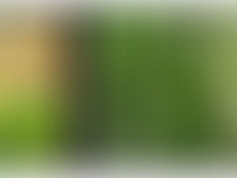 Saturday 22nd July – Saturday 29th July 2023