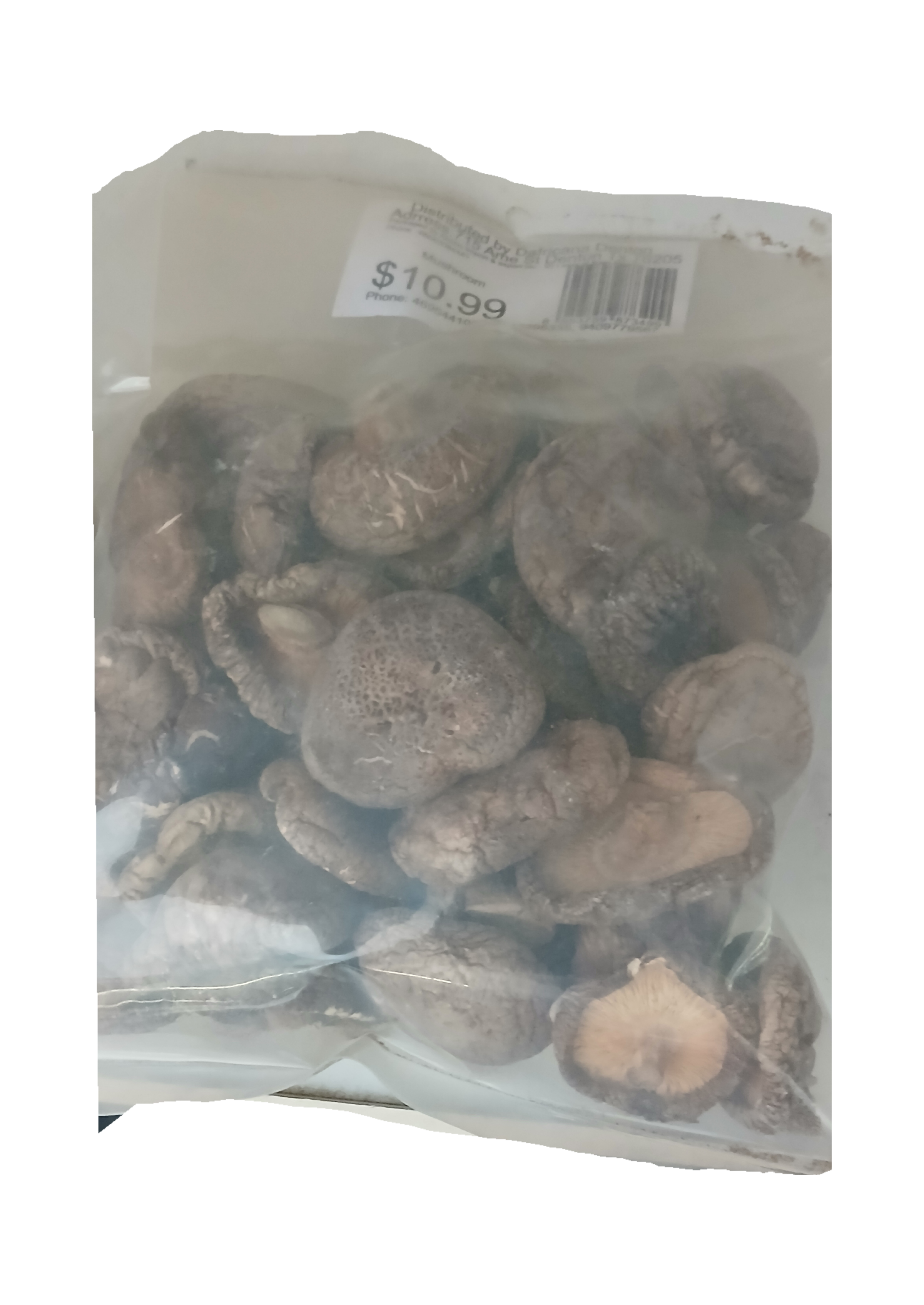 Mushroom sold at Dafricana in Denton