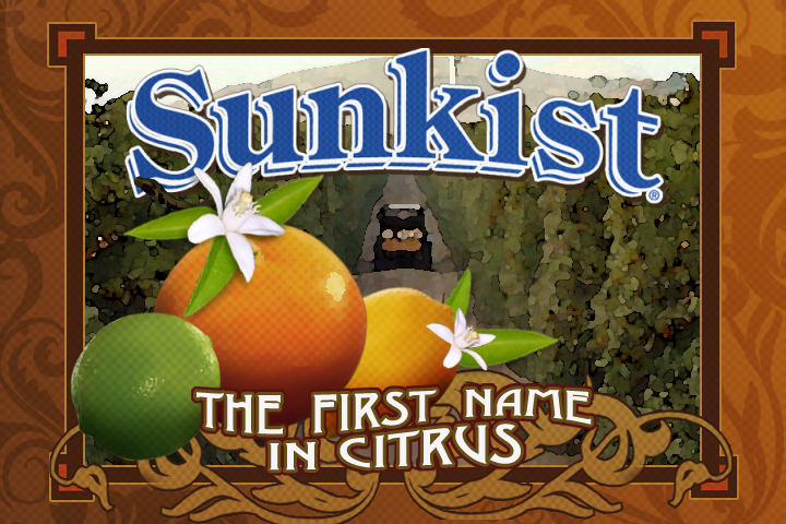 Sunkist Image Video