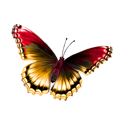 ebc50c_a97b08d087bb4409860d9fe1c13ab2b5_mv2.gif