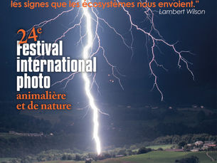 LES 18, 19, 20 ET 21 NOVEMBRE, LE FESTIVAL PHOTO MONTIER 2021