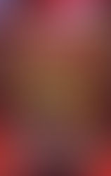 Que Hacer en Fin de Año?