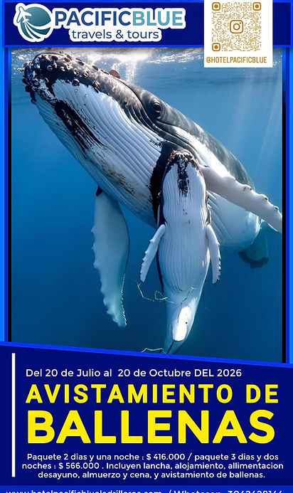 AVISTAMIENTO DE BALLENAS 2026.jpg