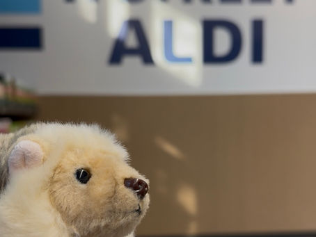 A Fresh Addition to the Neighborhood — ALDI on H Street NE