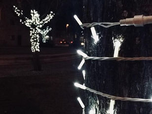 Christmas is coming!