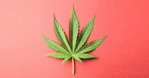 The Top 5 stoniest ways to spend 4.20 in Seattle
