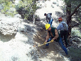 trail work.jpeg