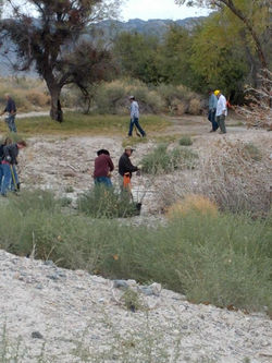 68669_450757214980432_1721990471_n