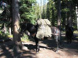 324762_2204057153287_952498729_o