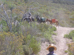 481205_386678418054979_1323100973_n