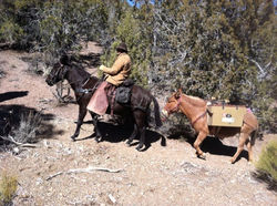 482723_274211949375940_1461404327_n