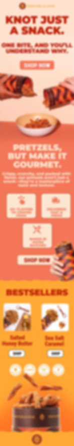 Ecommerce Email Marketingg