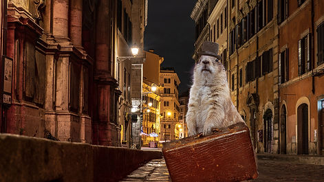 nick arriving composite.jpg