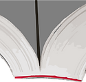 Softcover.png