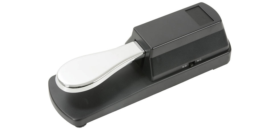 173.069 | Sustain Pedal